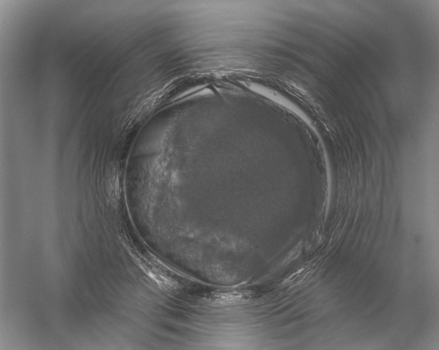 X0000056330405200509232018