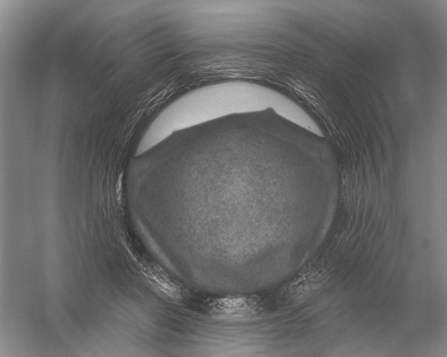 X0000056330406200509232018