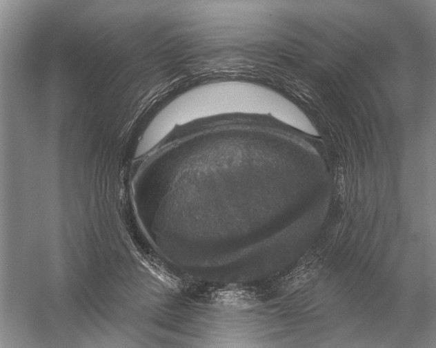 X0000056330408200509232018