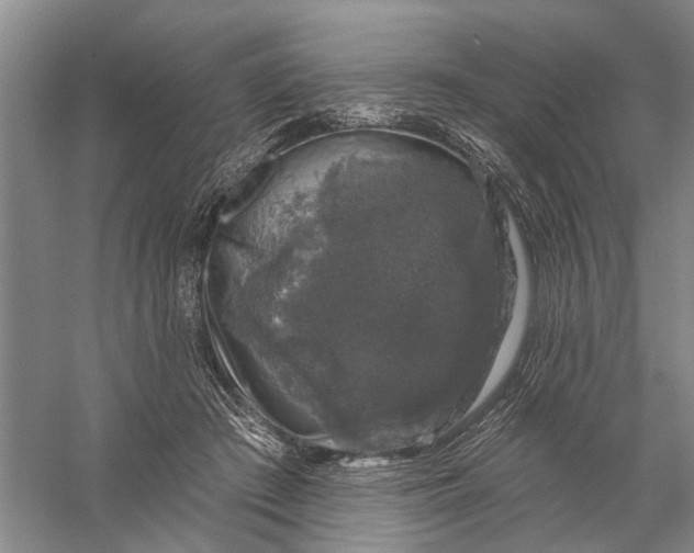 X0000056330409200509232018