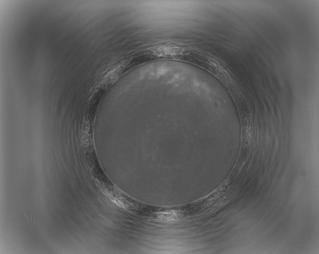 X0000056330411200509232018