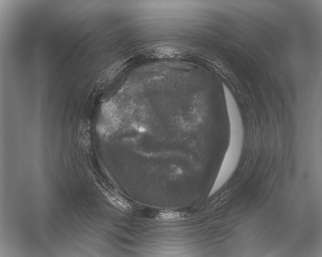 X0000056330413200509232018