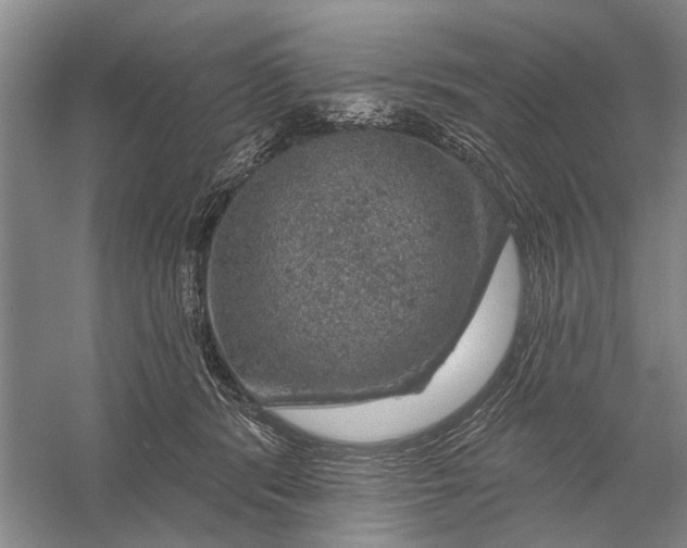 X0000056330416200509232018