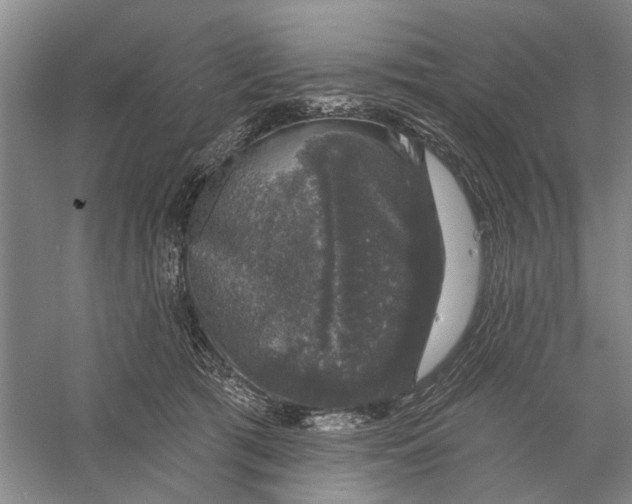 X0000056330417200509232018