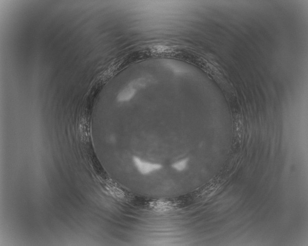 X0000056330419200509232018