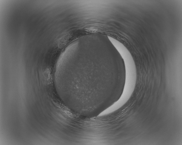 X0000056330420200509232018