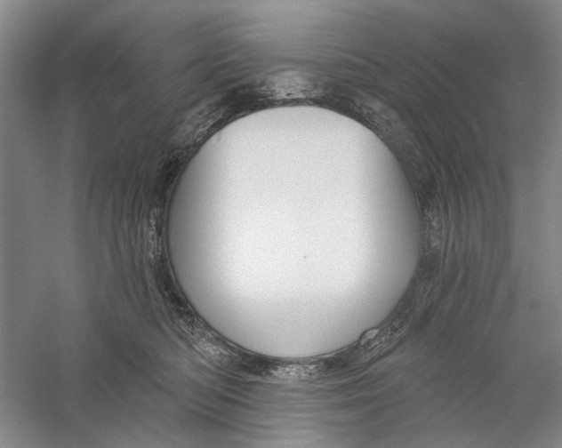 X0000056330422200509232018