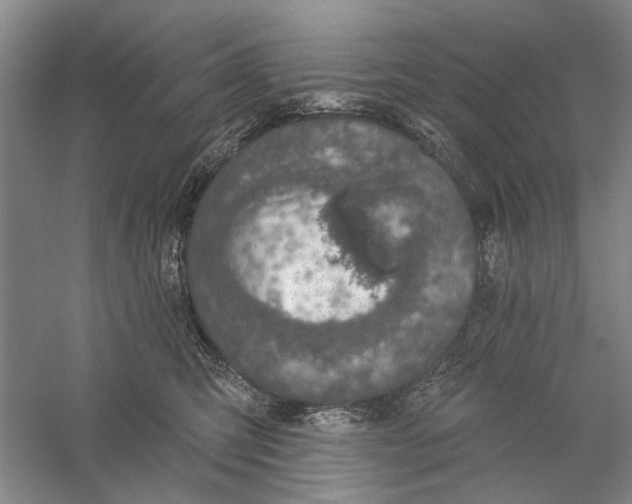 X0000056330423200509232018