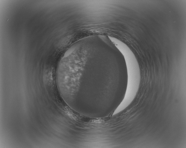 X0000056330424200509232018