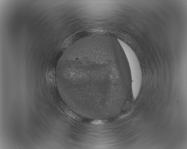 X0000056330425200509232018