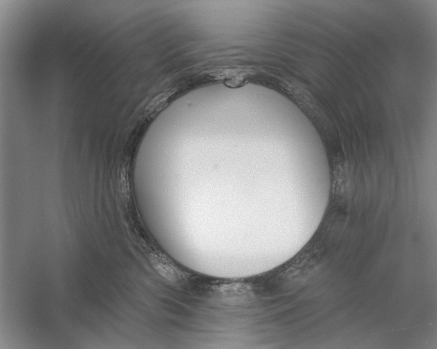 X0000056330426200509232018