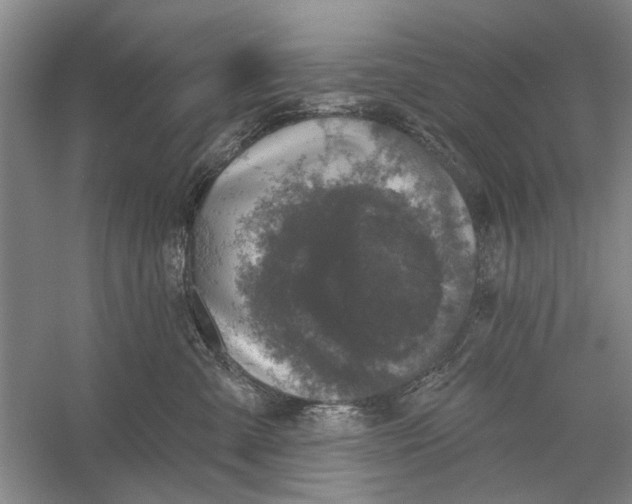 X0000056330427200509232018