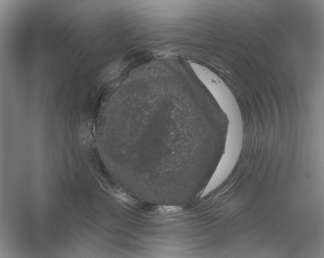 X0000056330429200509232018