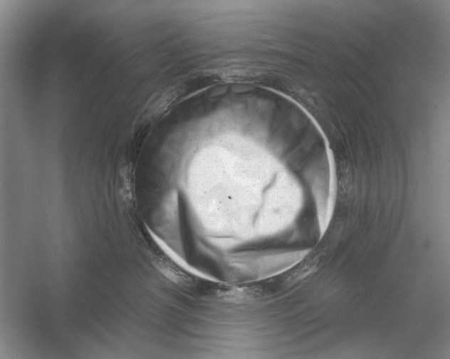 X0000056330430200509232018