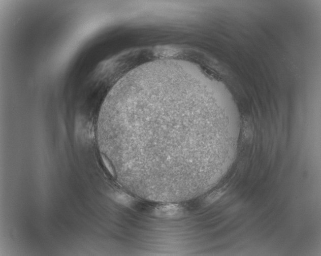 X0000056330431200509232018