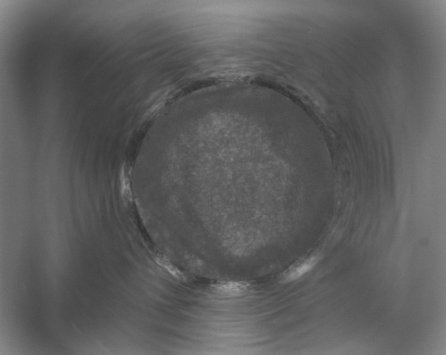 X0000056330432200509232018