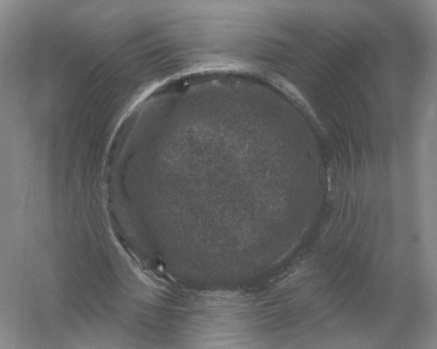 X0000056330436200509232017