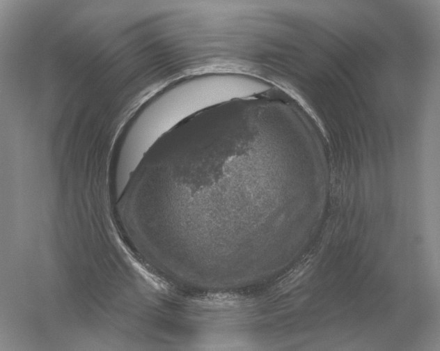 X0000056330437200509232017