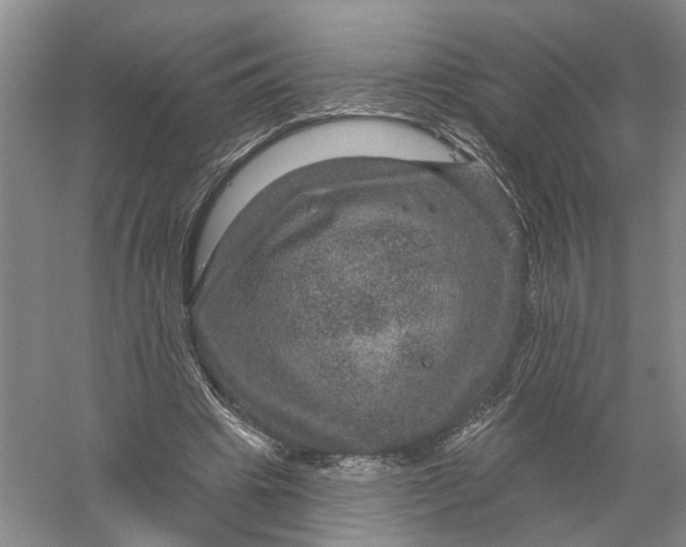 X0000056330441200509232017