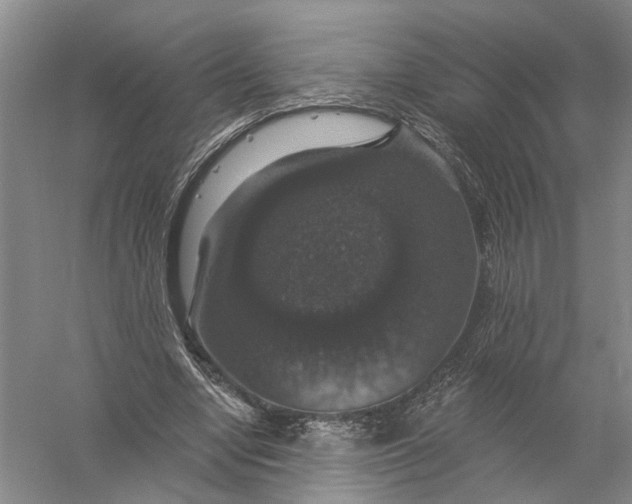 X0000056330442200509232017