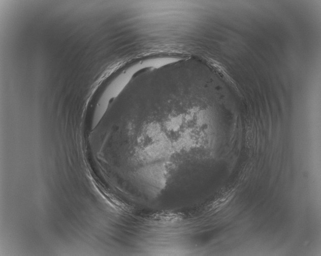 X0000056330443200509232017