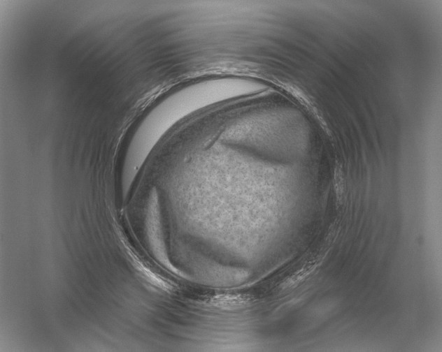 X0000056330445200509232017