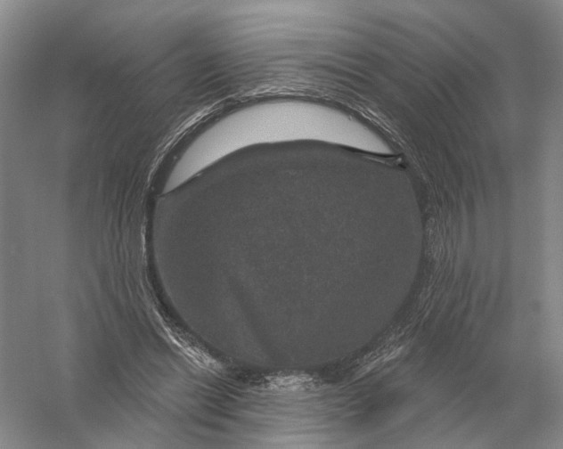 X0000056330446200509232017