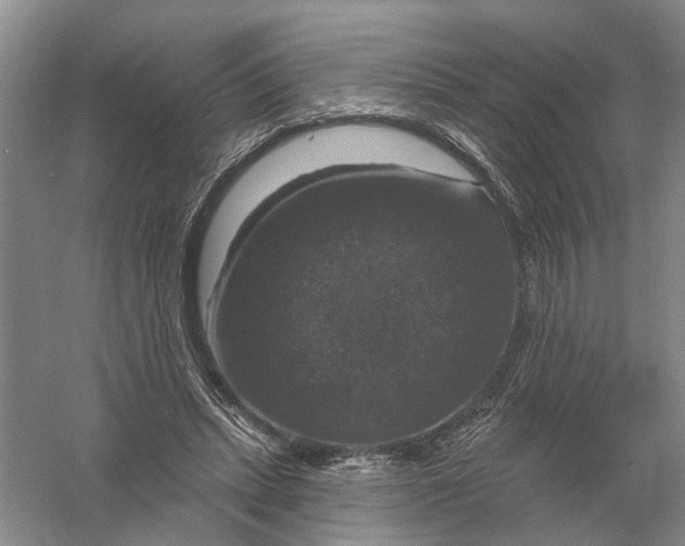 X0000056330447200509232017