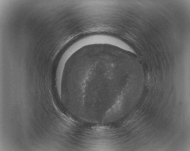 X0000056330448200509232017