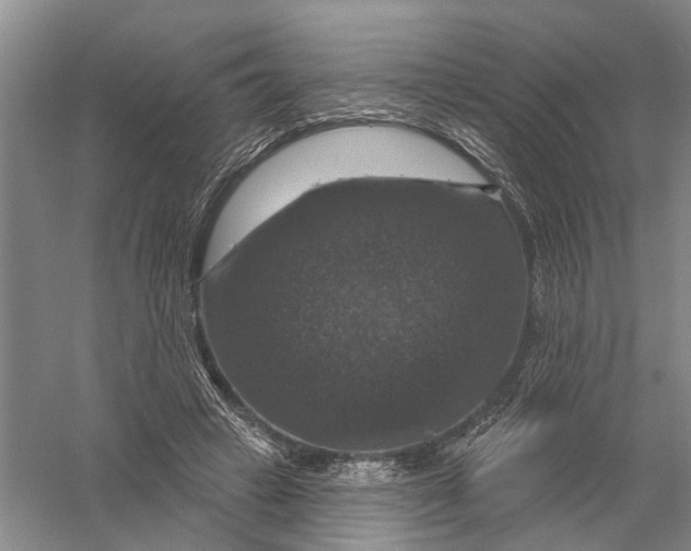 X0000056330449200509232017