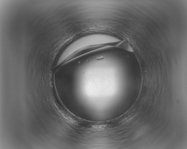 X0000056330450200509232017