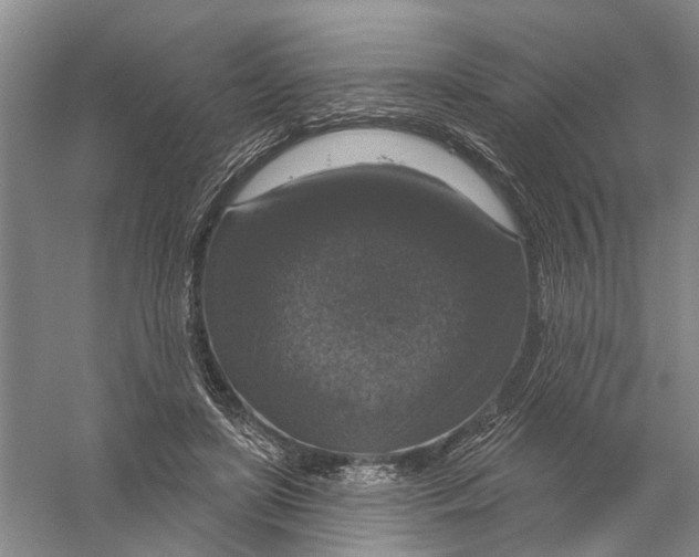 X0000056330451200509232017