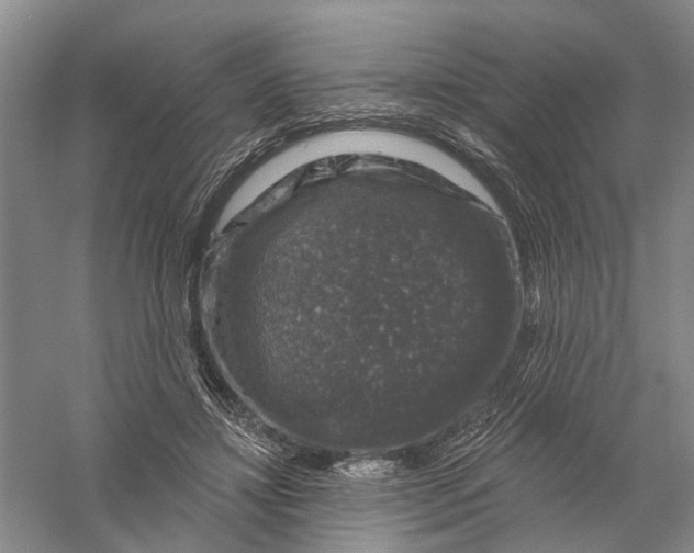 X0000056330452200509232017