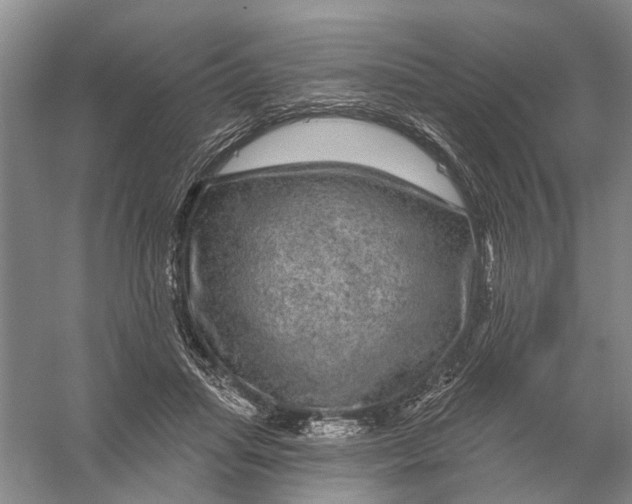 X0000056330455200509232017