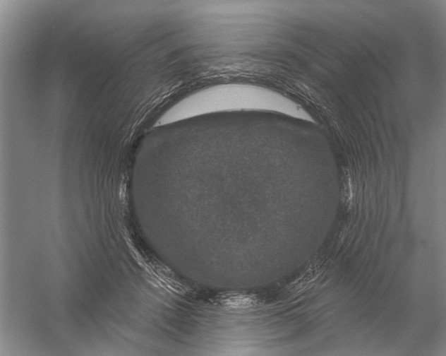 X0000056330456200509232017