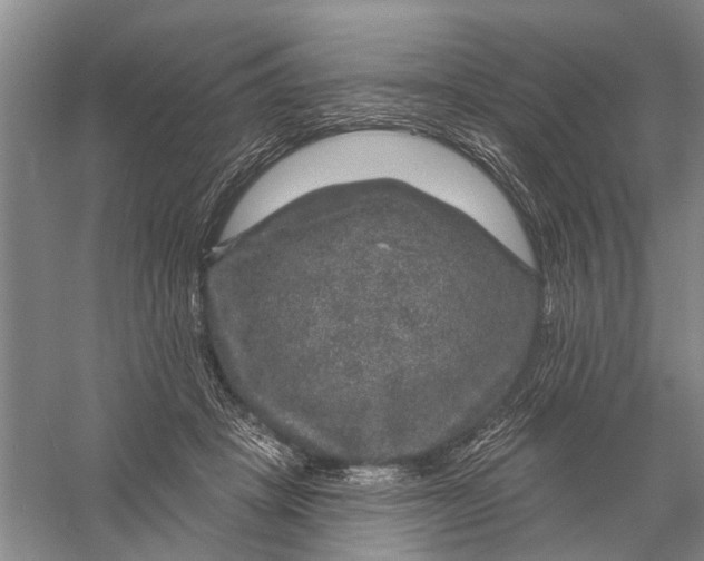 X0000056330457200509232017