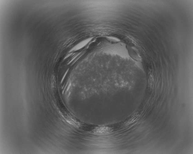 X0000056330459200509232017