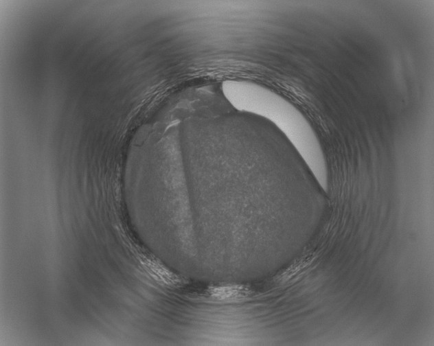 X0000056330461200509232017