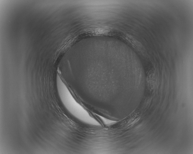 X0000056330462200509232017