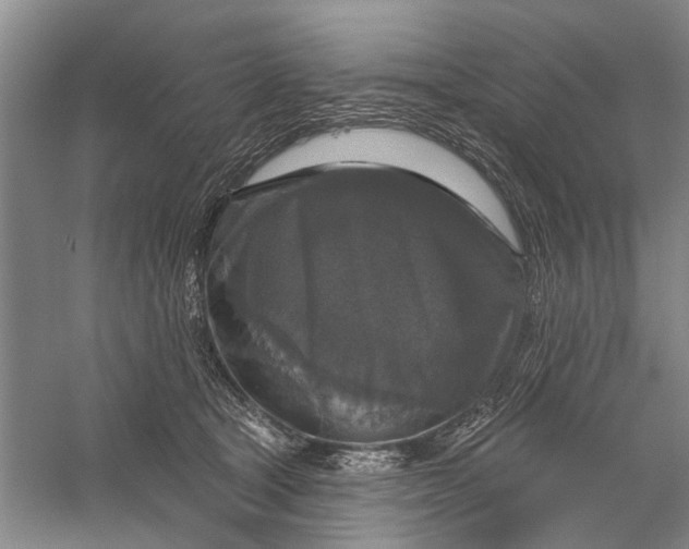 X0000056330465200509232017