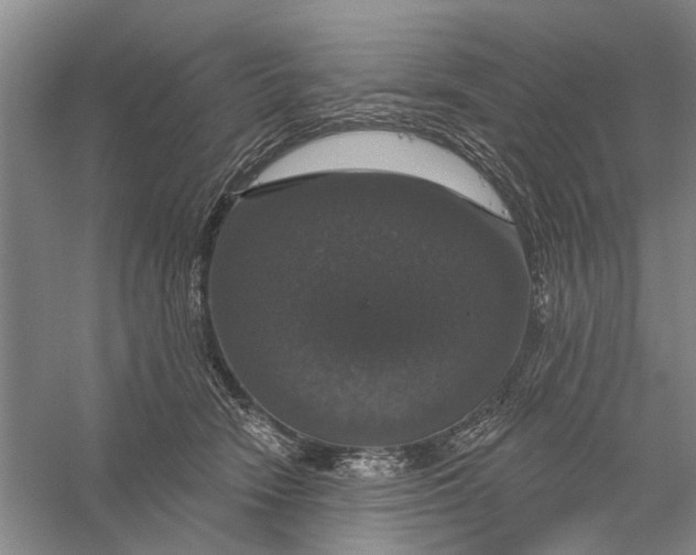 X0000056330466200509232017