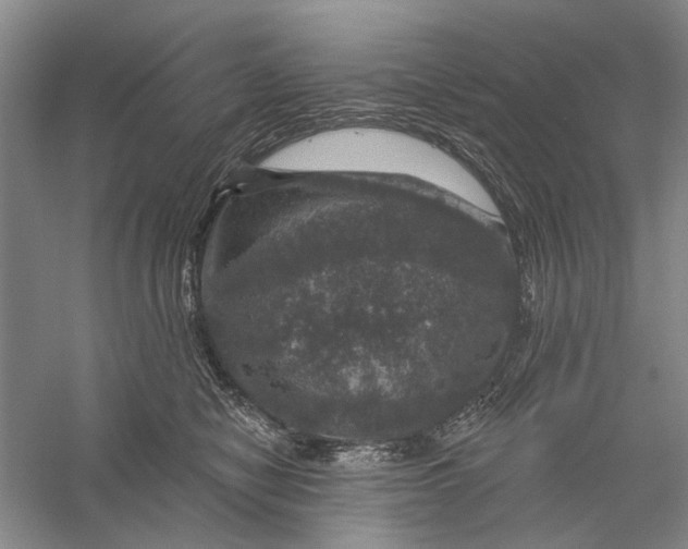 X0000056330470200509232017