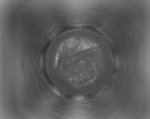 X0000056330472200509232017