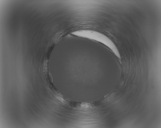 X0000056330475200509232017