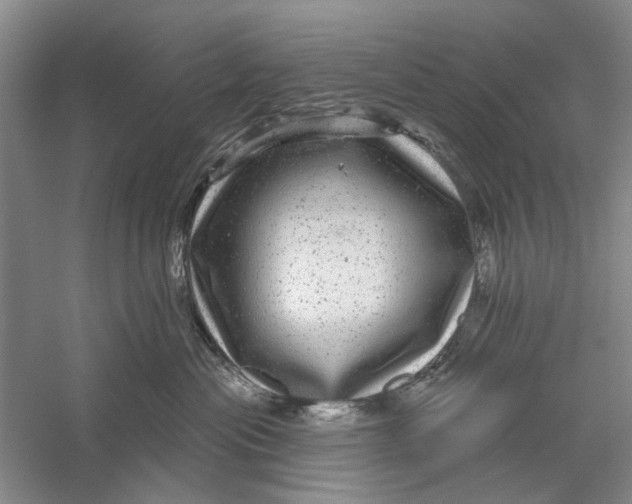 X0000056330477200509232017