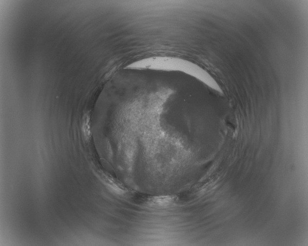 X0000056330479200509232018