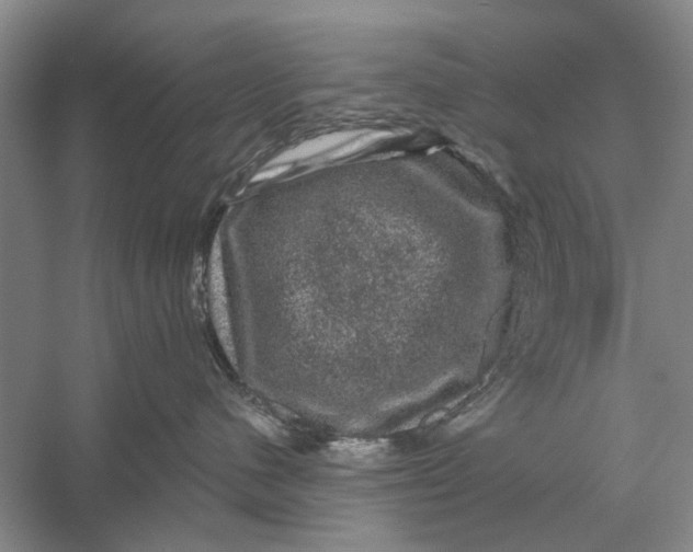 X0000056330480200509232018