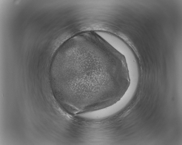 X0000056330481200509232017