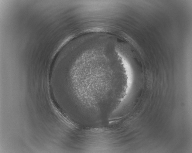 X0000056330482200509232017