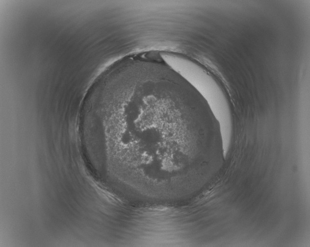 X0000056330483200509232017